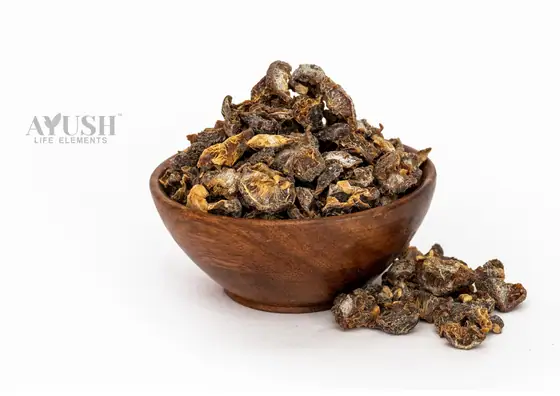 Amla Seedless supplied by AYUSH LIFE ELEMENTS