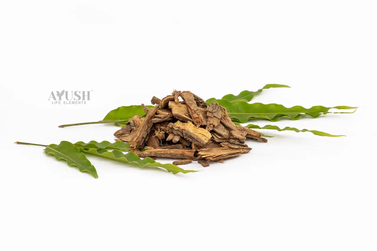 Ashok Bark — AYUSH LIFE ELEMENTS product photo 1