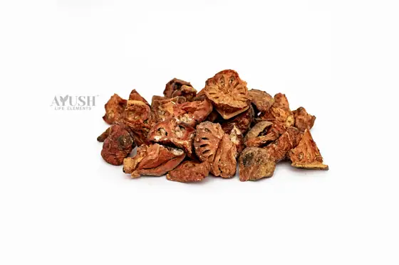 Bael Fruit supplied by AYUSH LIFE ELEMENTS