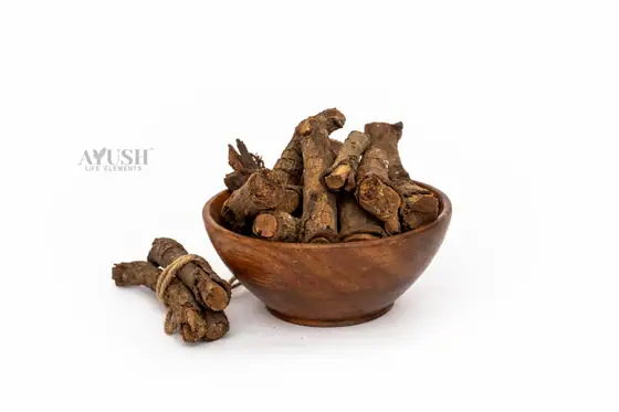 Chitrak Mool supplied by AYUSH LIFE ELEMENTS