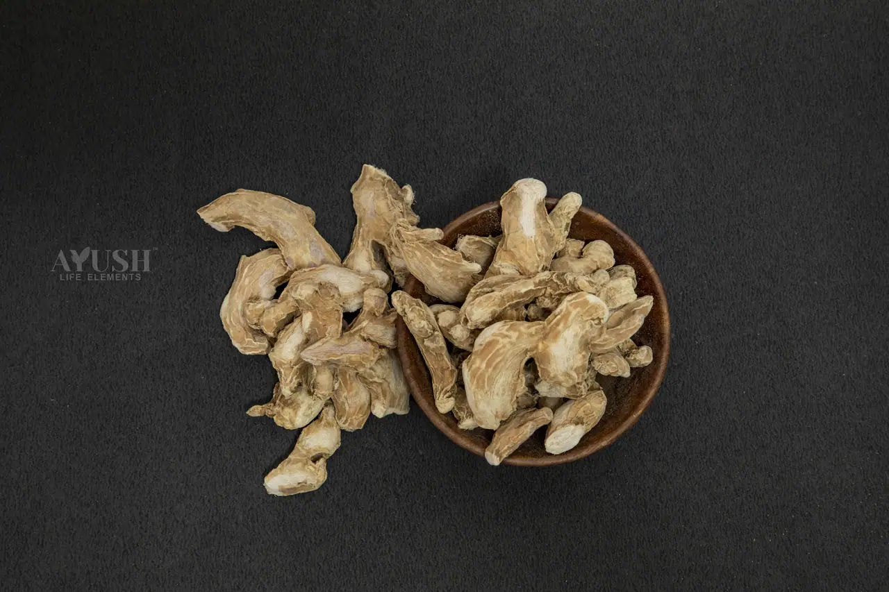 Dried Ginger — AYUSH LIFE ELEMENTS product photo 1