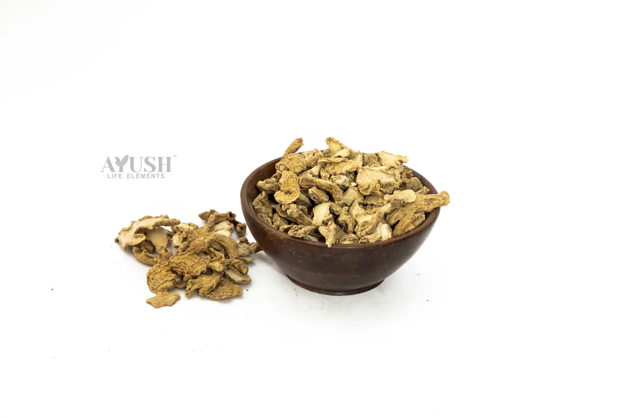 Dried Ginger Slice — AYUSH LIFE ELEMENTS product photo 1