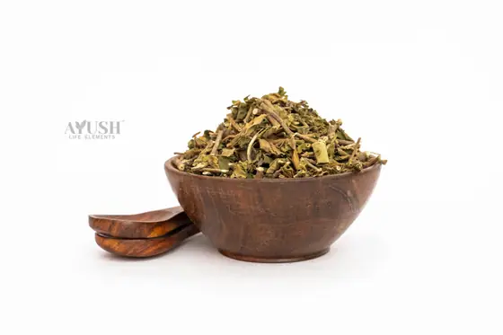 Gudmar Leaves supplied by AYUSH LIFE ELEMENTS