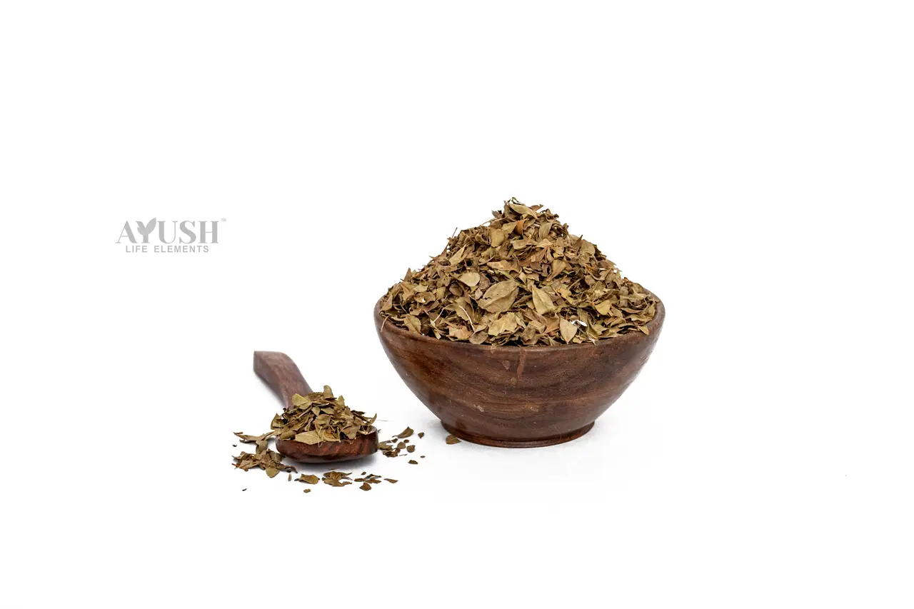 Henna Leaves — AYUSH LIFE ELEMENTS product photo 1