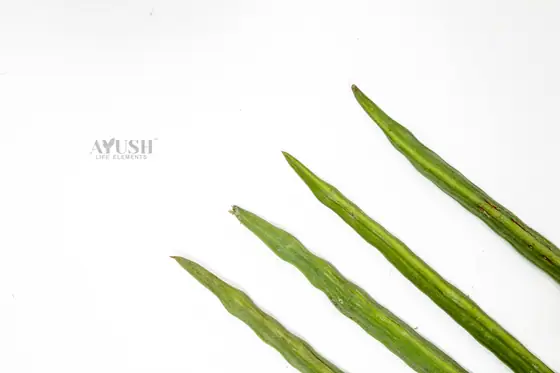 Moringa Pods supplied by AYUSH LIFE ELEMENTS