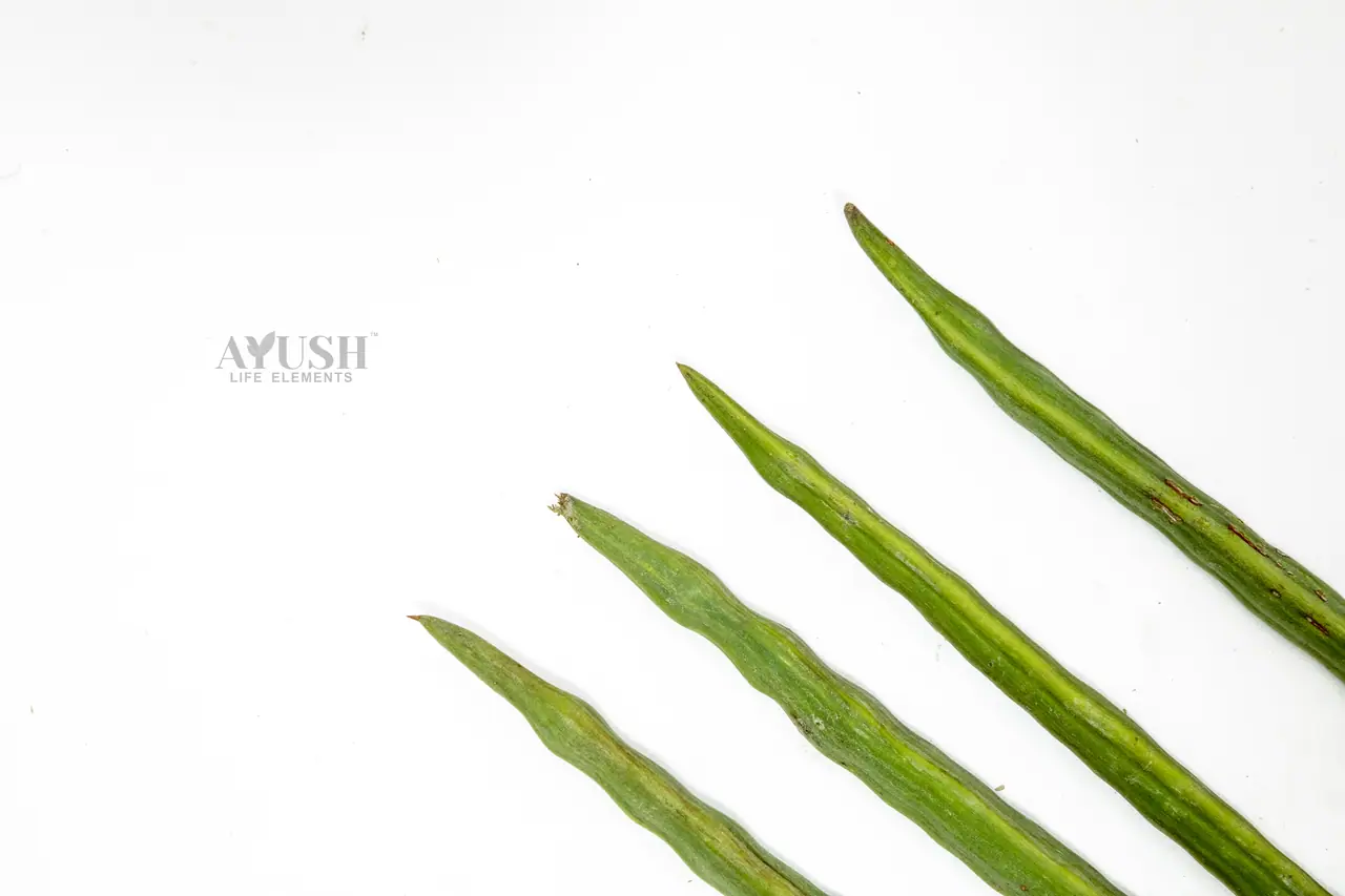 Moringa Pods — AYUSH LIFE ELEMENTS product photo 1