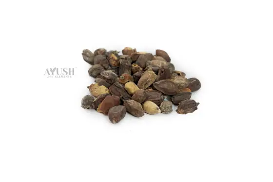 Neem Seeds supplied by AYUSH LIFE ELEMENTS