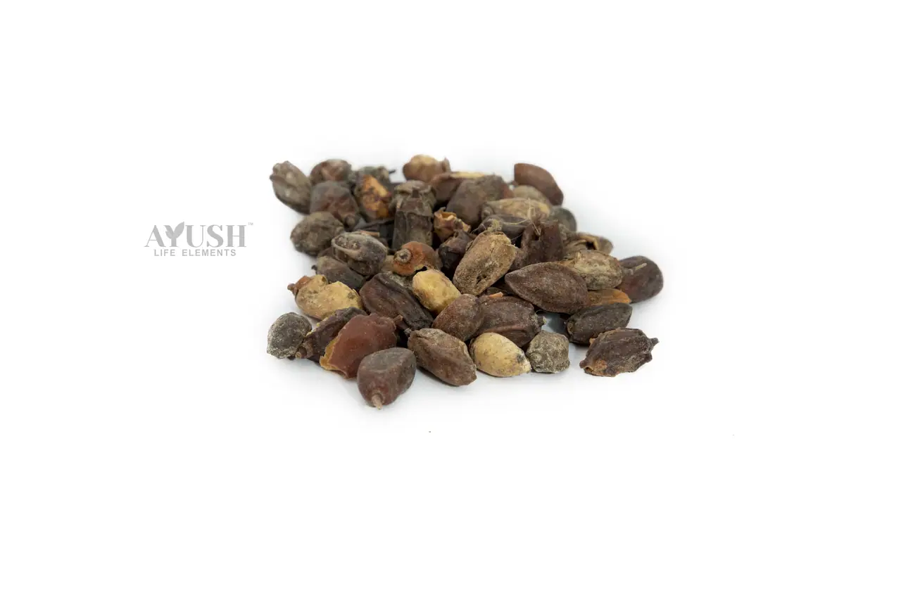 Neem Seeds — AYUSH LIFE ELEMENTS product photo 1