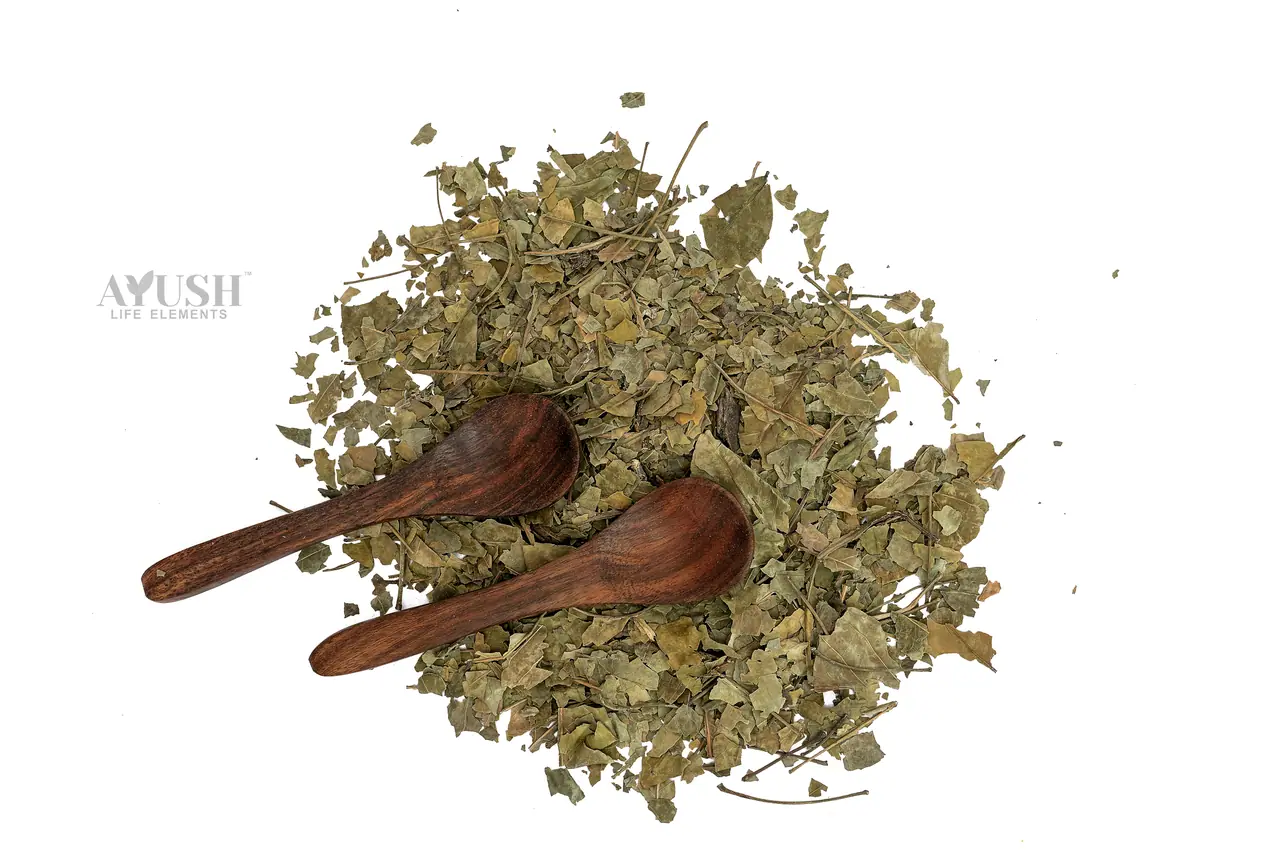 Parijat Leaves — AYUSH LIFE ELEMENTS product photo 1