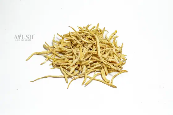 Safed Musli supplied by AYUSH LIFE ELEMENTS