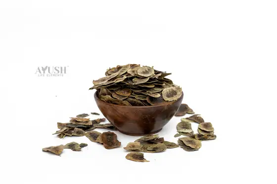 Senna Pods supplied by AYUSH LIFE ELEMENTS