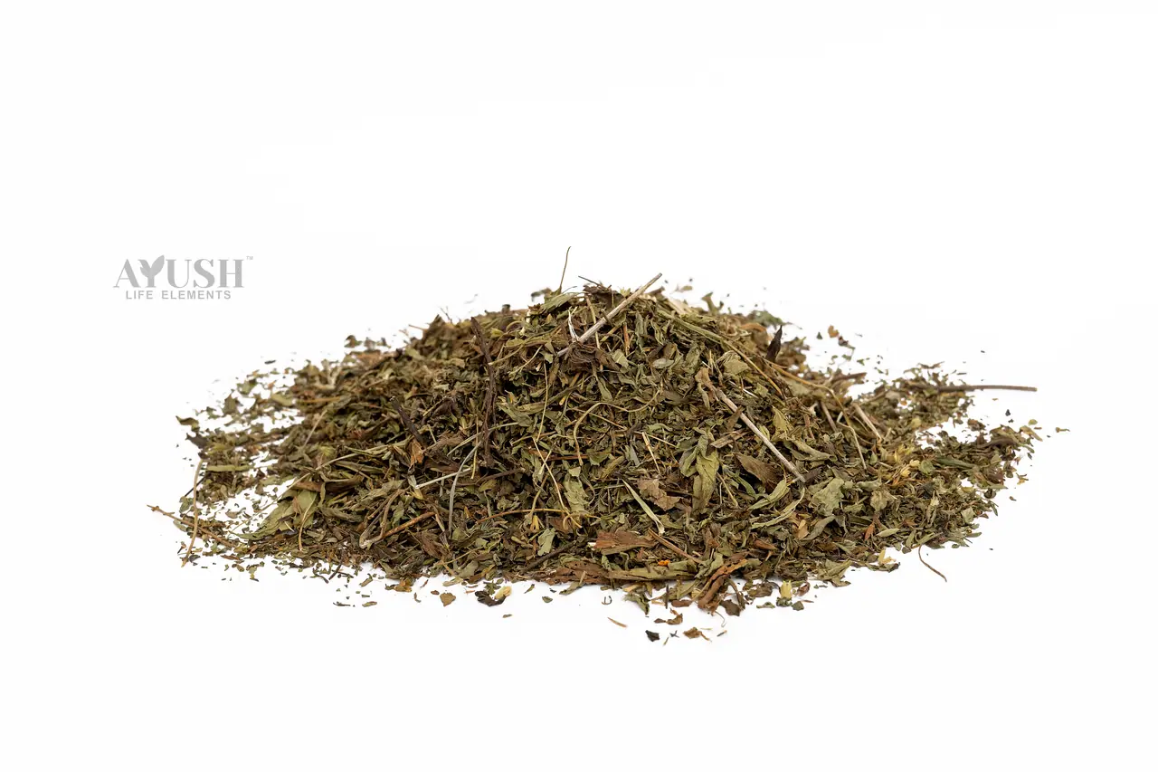 Stevia Leaves — AYUSH LIFE ELEMENTS product photo 1