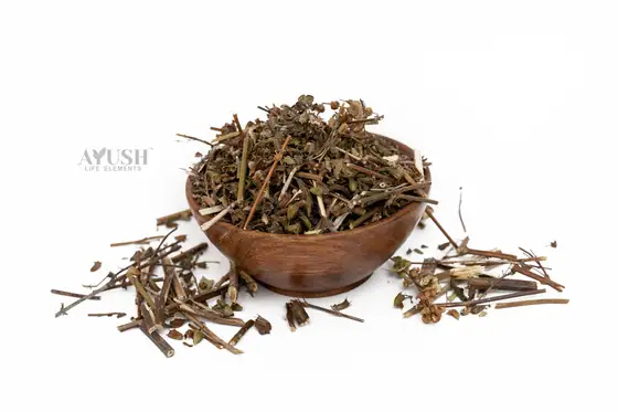 Tulsi Panchang supplied by AYUSH LIFE ELEMENTS