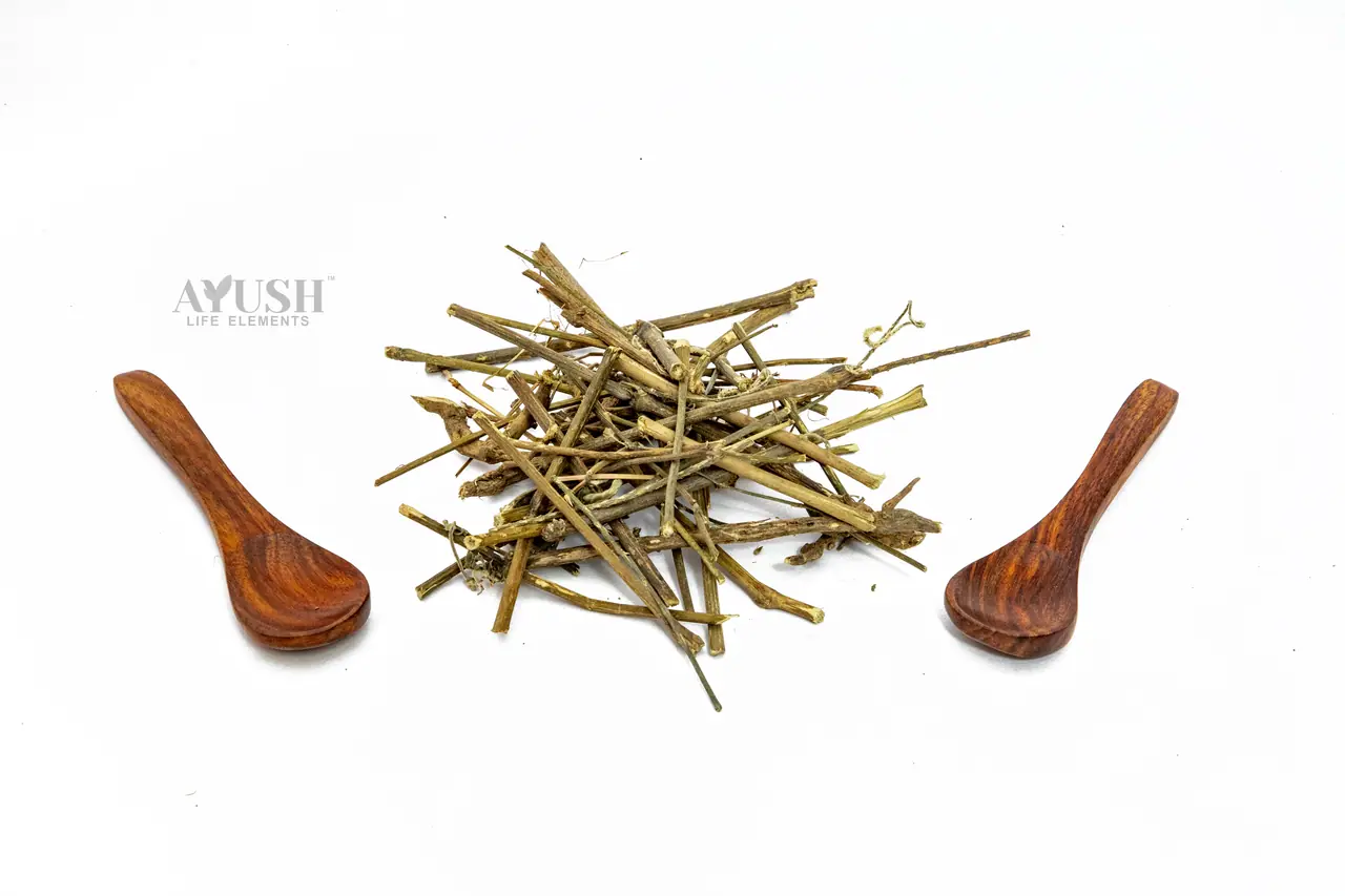 Vana Tulsi Panchang — AYUSH LIFE ELEMENTS product photo 1