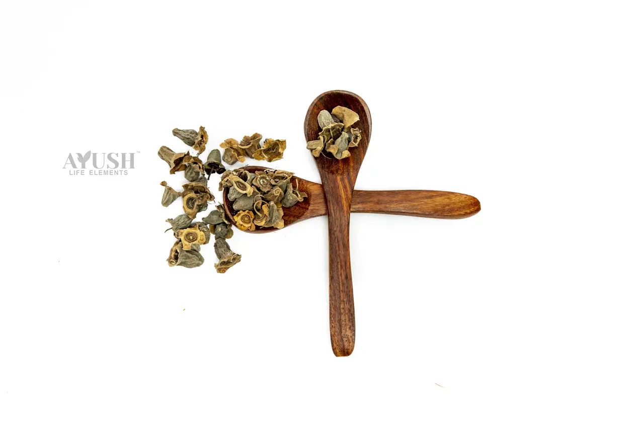Vaye Kumbhi — AYUSH LIFE ELEMENTS product photo 1