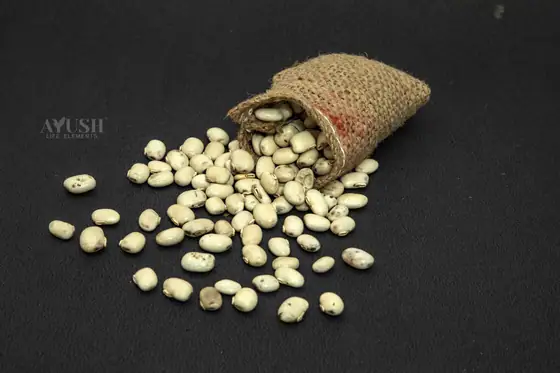 White Kaunch Seeds supplied by AYUSH LIFE ELEMENTS