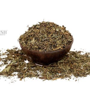 Stevia Leaves | Stevia Rebaudiana