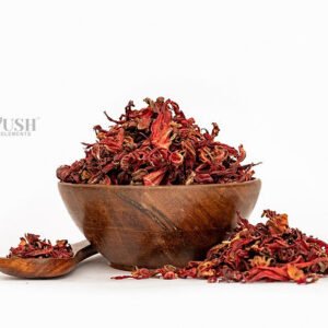 Hibiscus Flower | Hibiscus Sabdariffa
