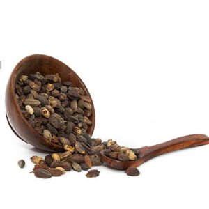Nimboli | Azadirachta Indica