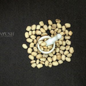 White Kaunch Seed | Mucuna Prurita