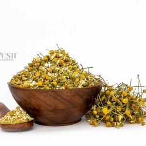 Chamomile Flower | Matricaria Chamomilla