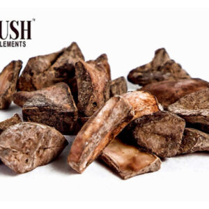 Aam Magaz | Mangifera Indica